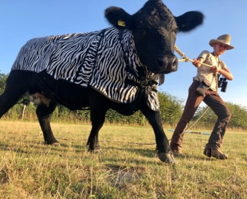 Platz 2 Romy Und Bekki Bei Der Grosswildjagd 1