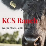 KCS Ranch Gütersloh