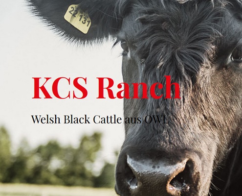 KCS Ranch Gütersloh