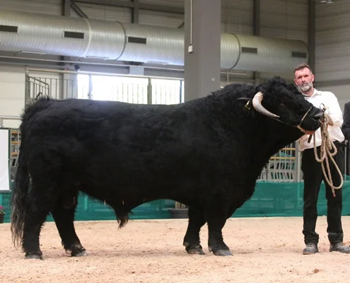 Bruno LWB Schroeder Rinderallianz WB