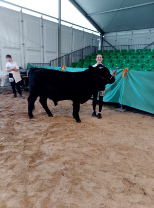 Miniaturansicht für das Anzeigenbild