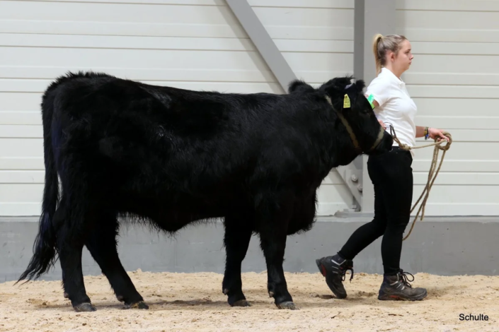 243 Bundesschau 2026 GW RH WBlack Gruene Tage Erfurt