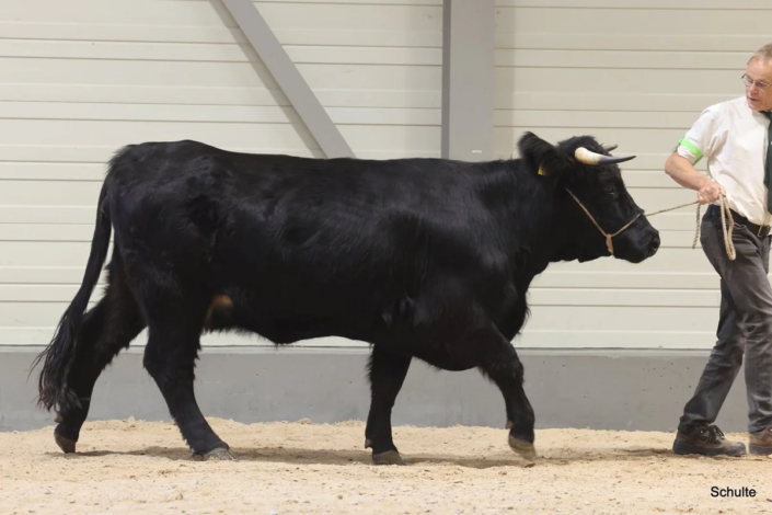 298 Bundesschau 2026 GW RH WBlack Gruene Tage Erfurt
