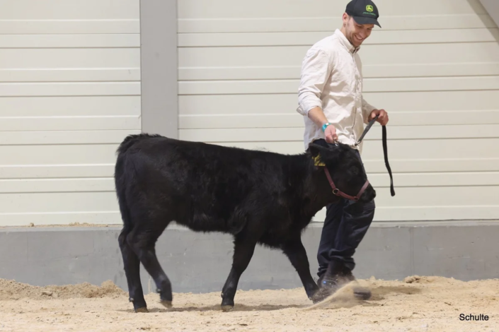299 Bundesschau 2026 GW RH WBlack Gruene Tage Erfurt