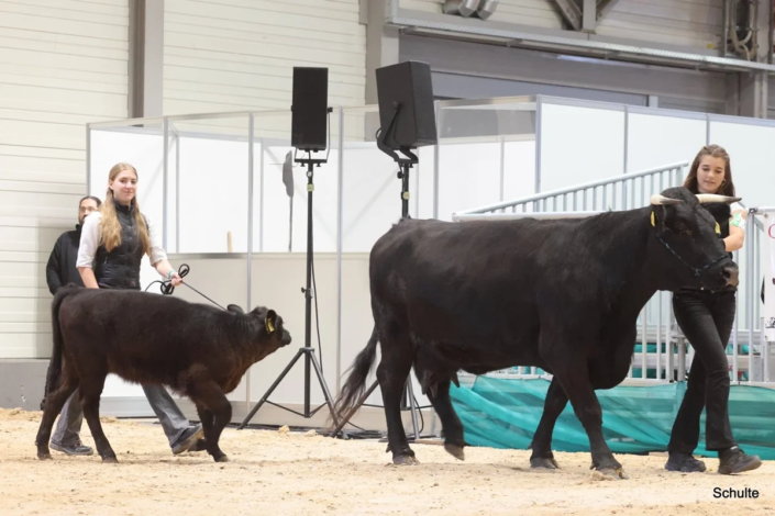 300 Bundesschau 2026 GW RH WBlack Gruene Tage Erfurt