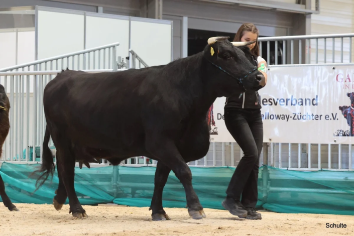301 Bundesschau 2026 GW RH WBlack Gruene Tage Erfurt