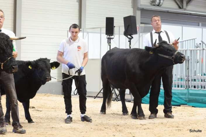 311 Bundesschau 2026 GW RH WBlack Gruene Tage Erfurt