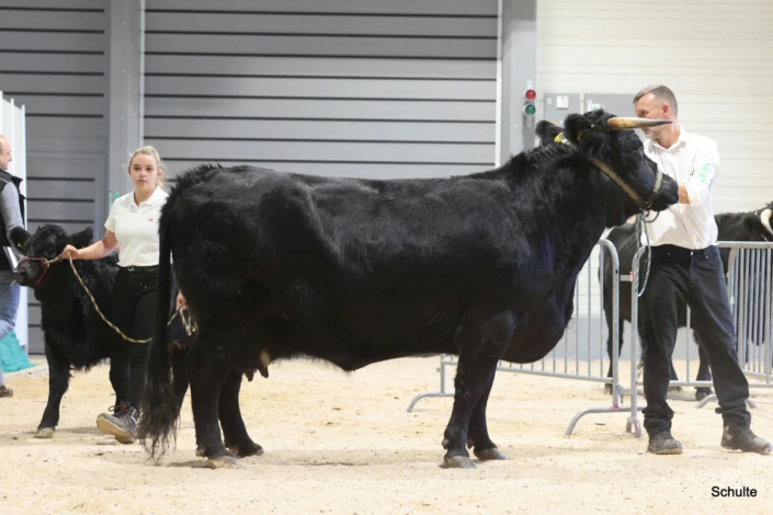 316 Bundesschau 2026 GW RH WBlack Gruene Tage Erfurt