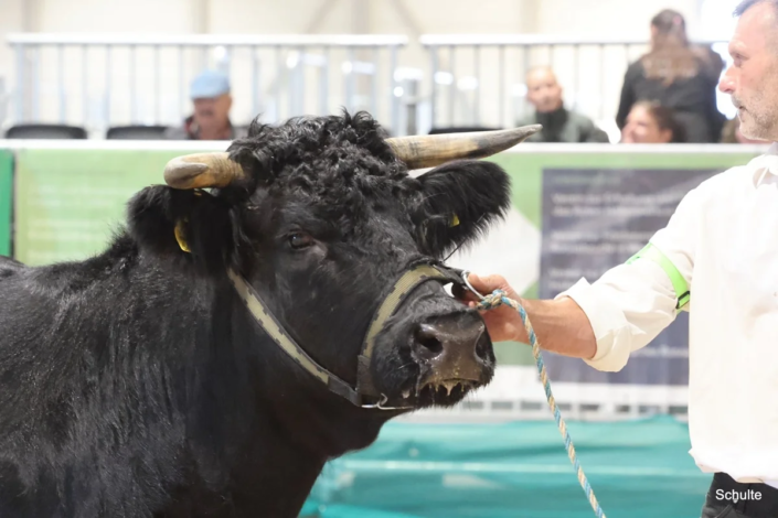 323 Bundesschau 2026 GW RH WBlack Gruene Tage Erfurt