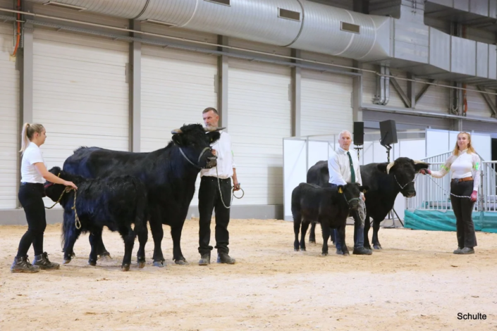 328 Bundesschau 2026 GW RH WBlack Gruene Tage Erfurt