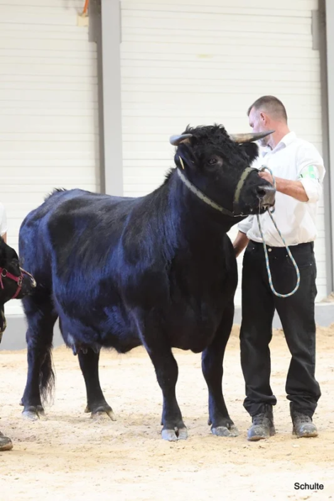 329 Bundesschau 2026 GW RH WBlack Gruene Tage Erfurt