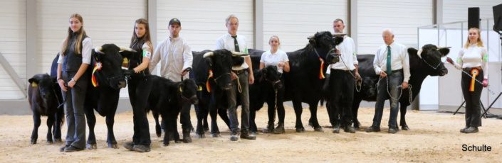 331 Bundesschau 2026 GW RH WBlack Gruene Tage Erfurt
