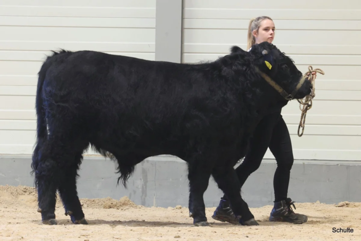 343 Bundesschau 2026 GW RH WBlack Gruene Tage Erfurt