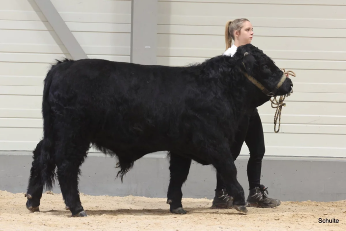 344 Bundesschau 2026 GW RH WBlack Gruene Tage Erfurt