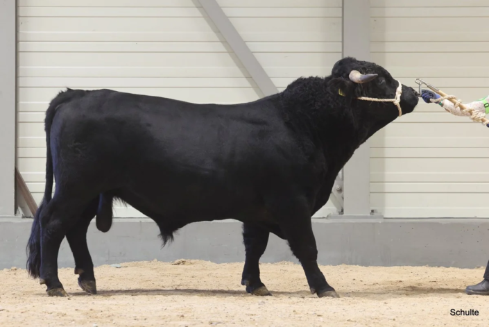 350 Bundesschau 2026 GW RH WBlack Gruene Tage Erfurt