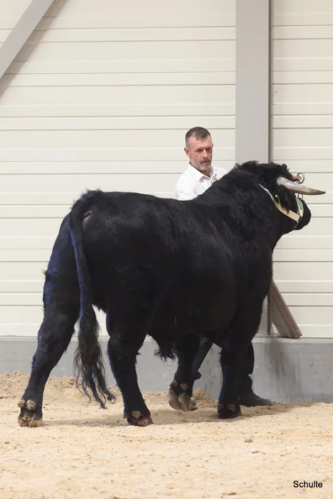 352 Bundesschau 2026 GW RH WBlack Gruene Tage Erfurt