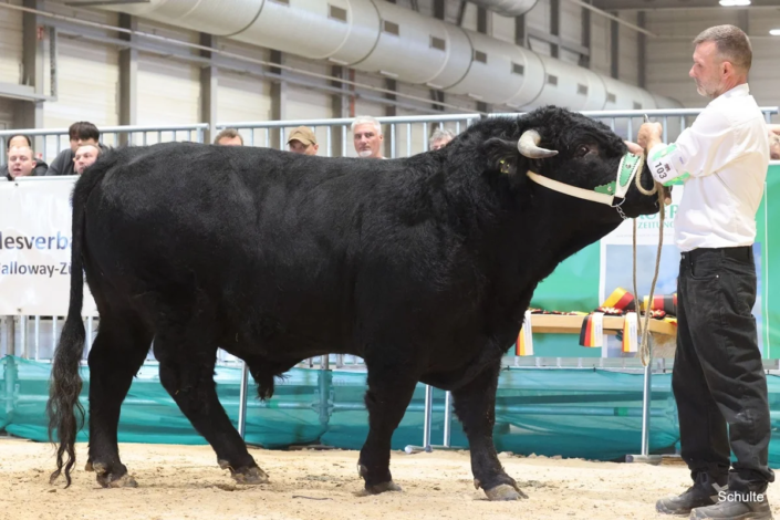 353 Bundesschau 2026 GW RH WBlack Gruene Tage Erfurt
