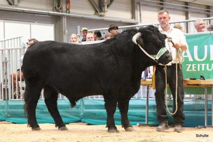 355 Bundesschau 2026 GW RH WBlack Gruene Tage Erfurt