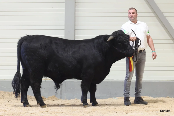 359 Bundesschau 2026 GW RH WBlack Gruene Tage Erfurt