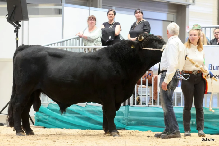 363 Bundesschau 2026 GW RH WBlack Gruene Tage Erfurt