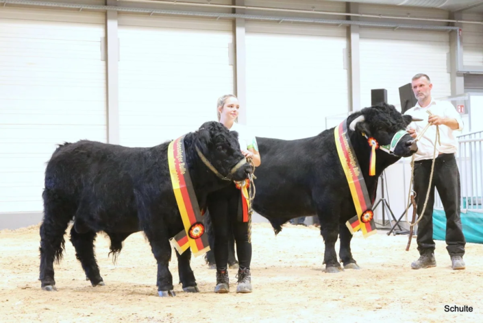 365 Bundesschau 2026 GW RH WBlack Gruene Tage Erfurt