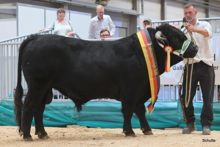 368 Bundesschau 2026 GW RH WBlack Gruene Tage Erfurt