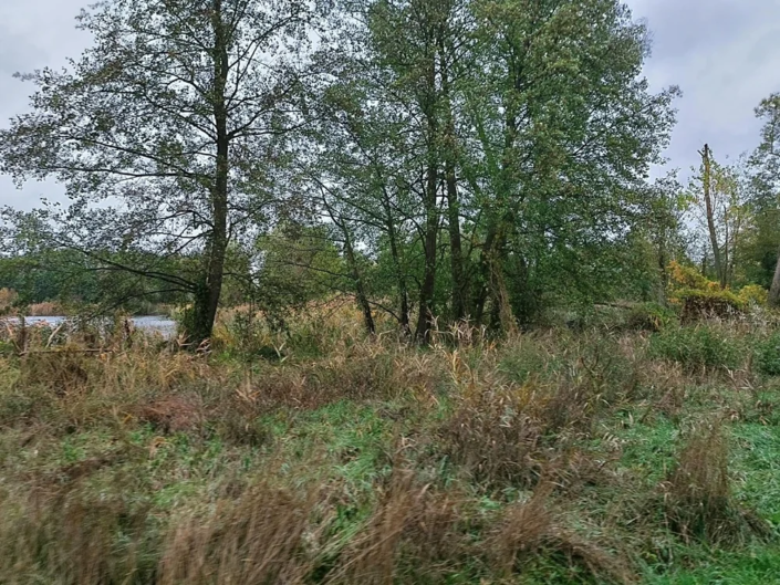 Teichlandschaft
