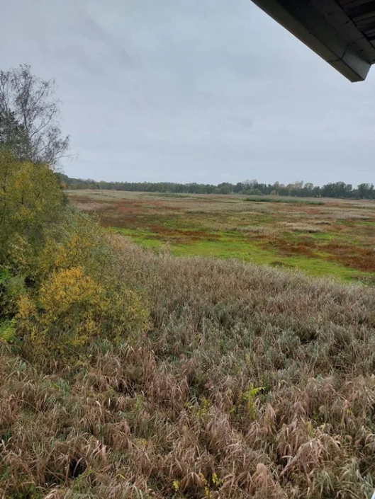 Teichlandschaft